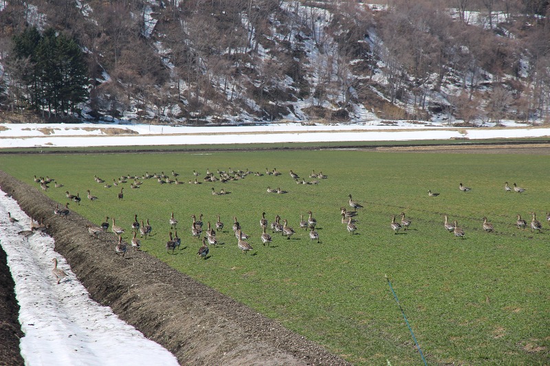 ファイル 37-1.jpg