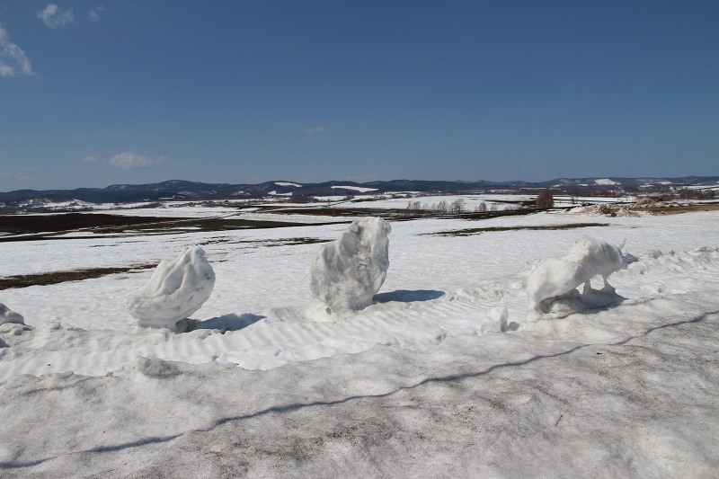 ファイル 37-3.jpg