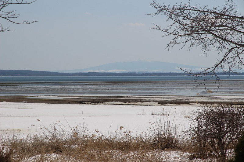 ファイル 37-4.jpg