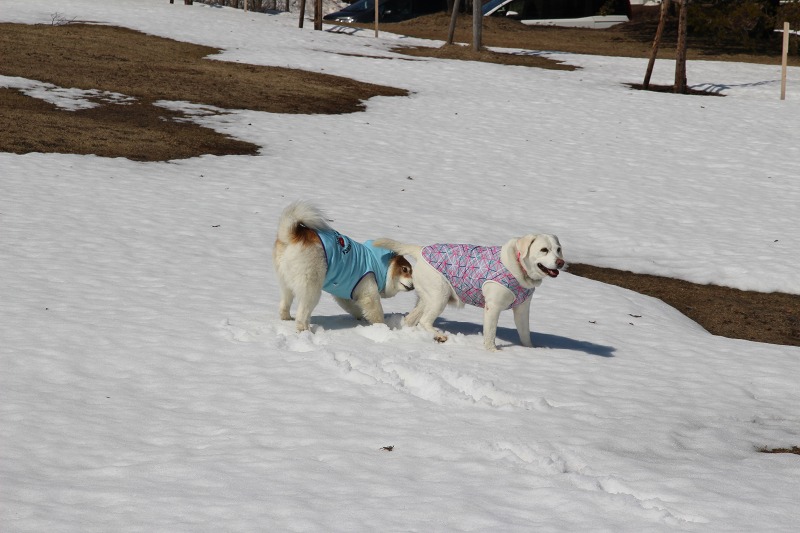 ファイル 37-5.jpg