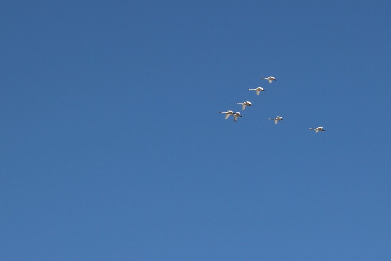 ファイル 37-6.jpg