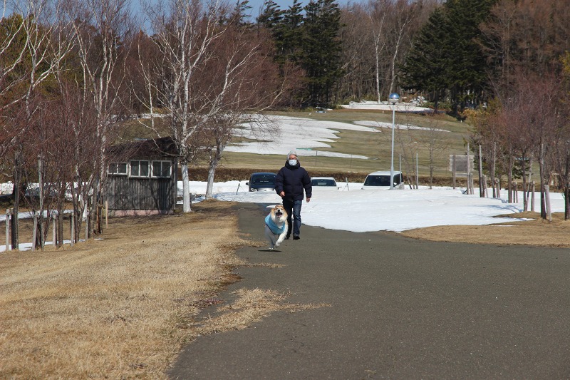 ファイル 37-7.jpg