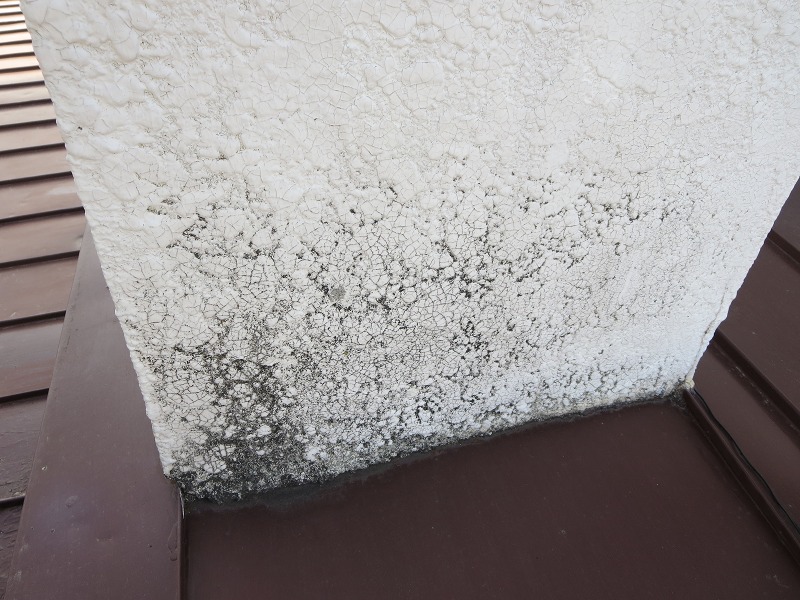 ファイル 39-3.jpg