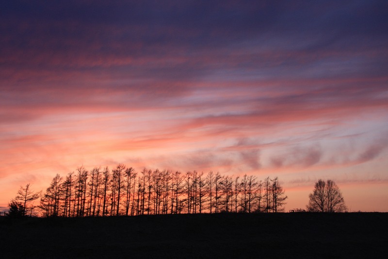 ファイル 40-2.jpg