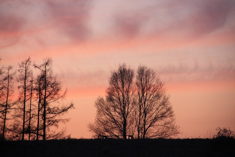 ファイル 40-3.jpg