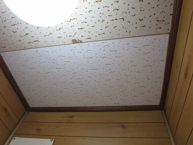 ファイル 40-9.jpg