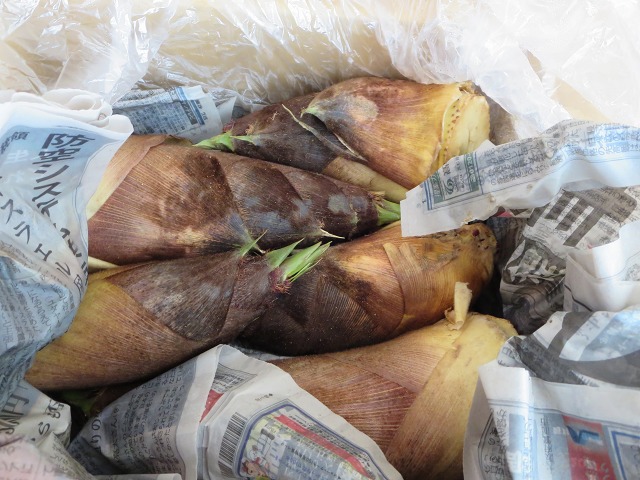 ファイル 41-6.jpg