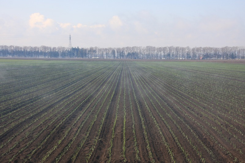 ファイル 43-1.jpg