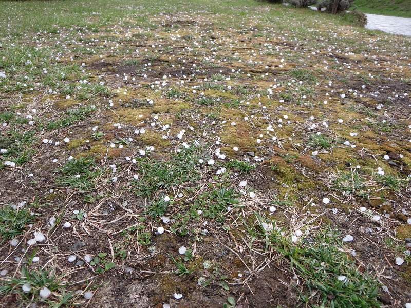 ファイル 48-9.jpg