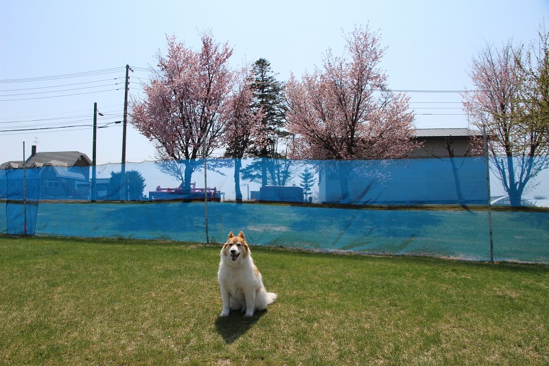 ファイル 49-5.jpg