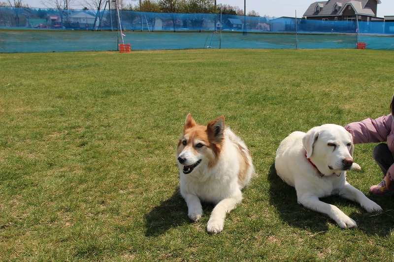 ファイル 49-6.jpg