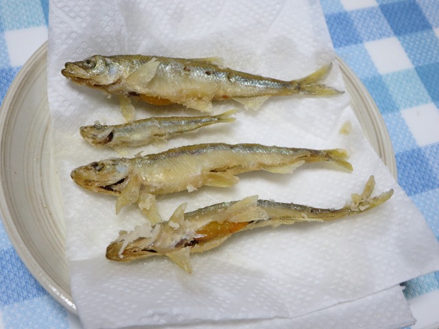 ファイル 5-2.jpg