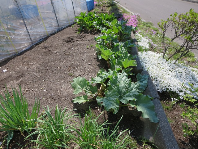 ファイル 55-4.jpg