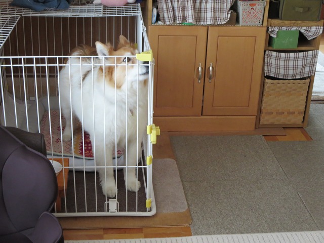 ファイル 56-2.jpg