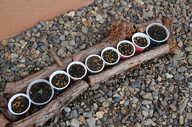 ファイル 58-1.jpg