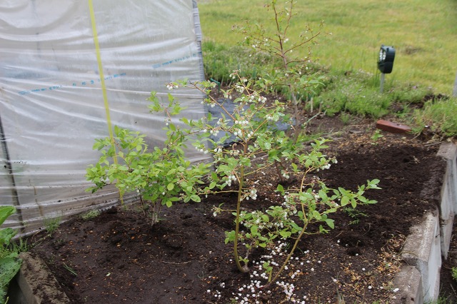 ファイル 58-6.jpg