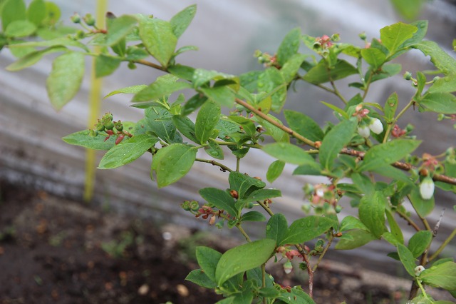 ファイル 58-7.jpg