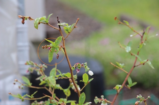 ファイル 58-8.jpg