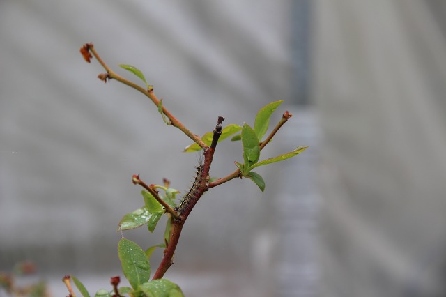 ファイル 58-9.jpg