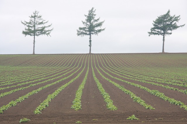 ファイル 59-2.jpg