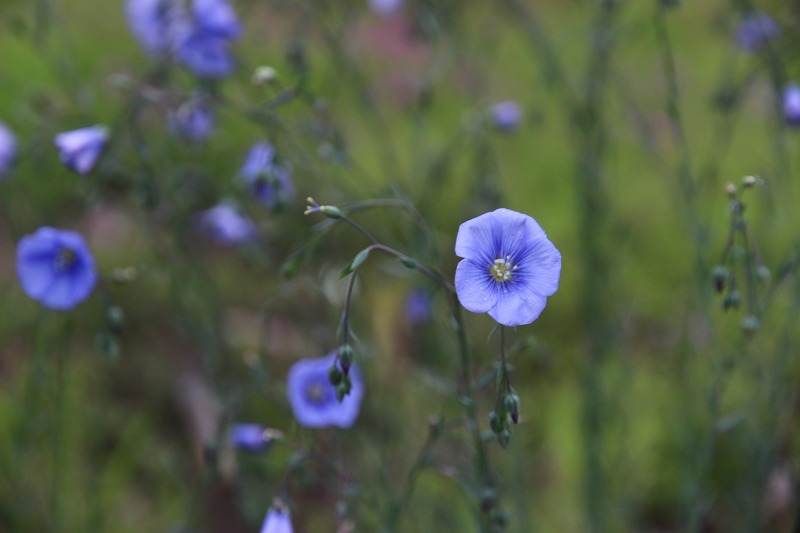 ファイル 59-3.jpg