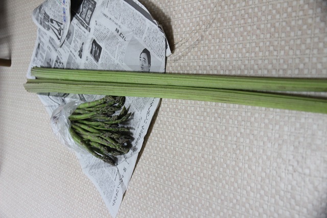 ファイル 59-6.jpg