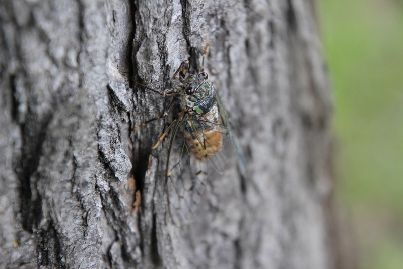 ファイル 62-3.jpg