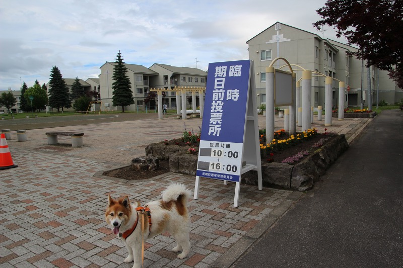 ファイル 69-2.jpg