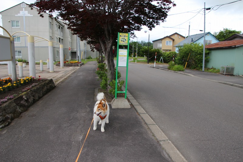 ファイル 69-4.jpg