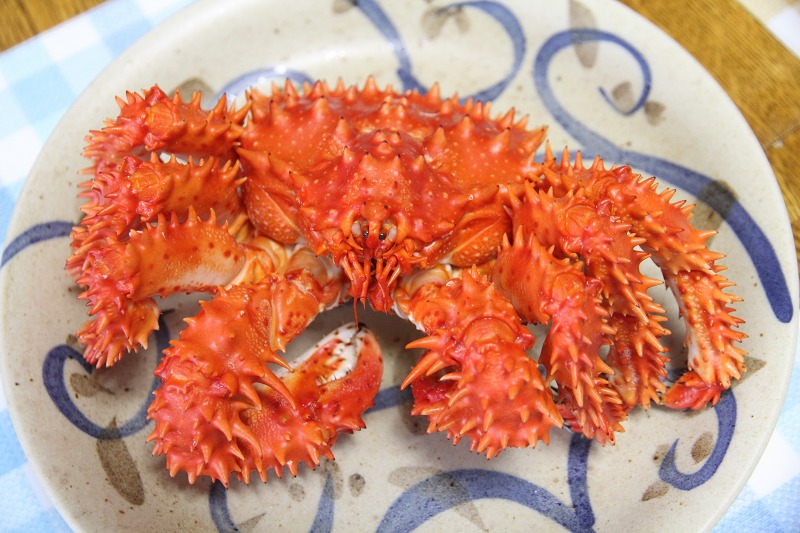 ファイル 69-7.jpg