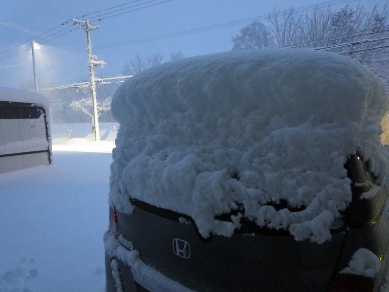 ファイル 7-2.jpg