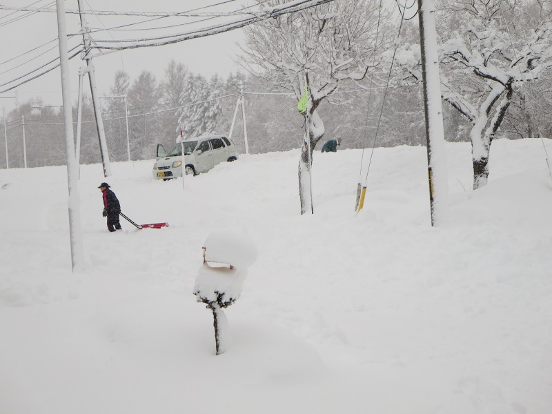 ファイル 7-3.jpg