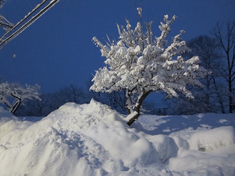 ファイル 9-1.jpg