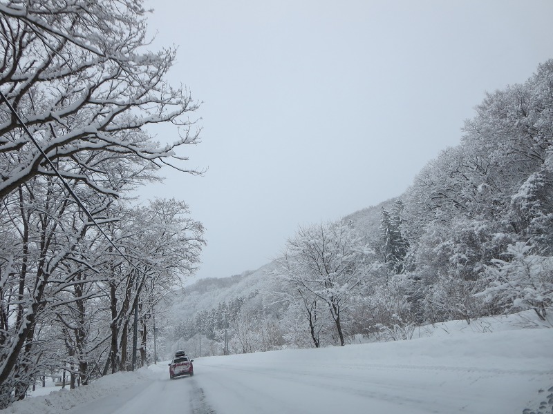 ファイル 9-4.jpg