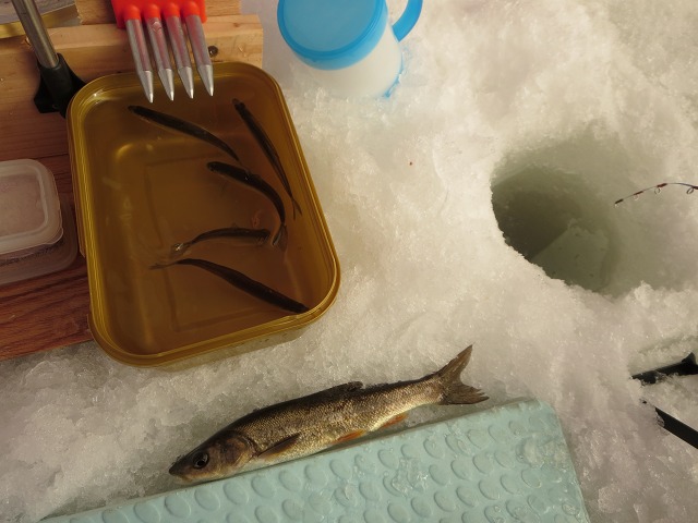 ファイル 10-7.jpg