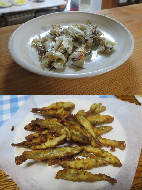 ファイル 10-9.jpg