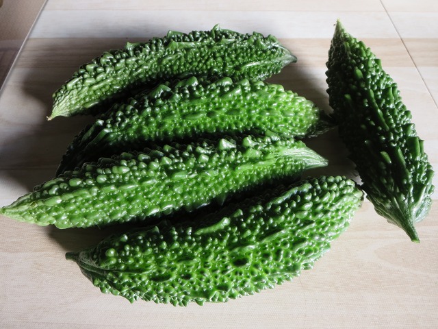 ファイル 101-6.jpg