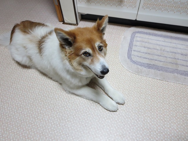 ファイル 102-2.jpg