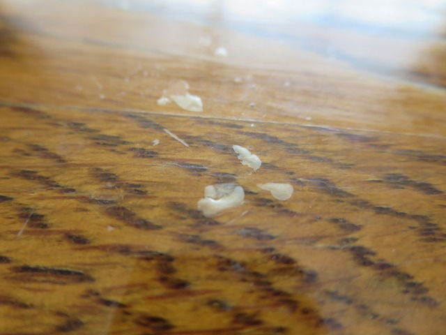 ファイル 102-5.jpg