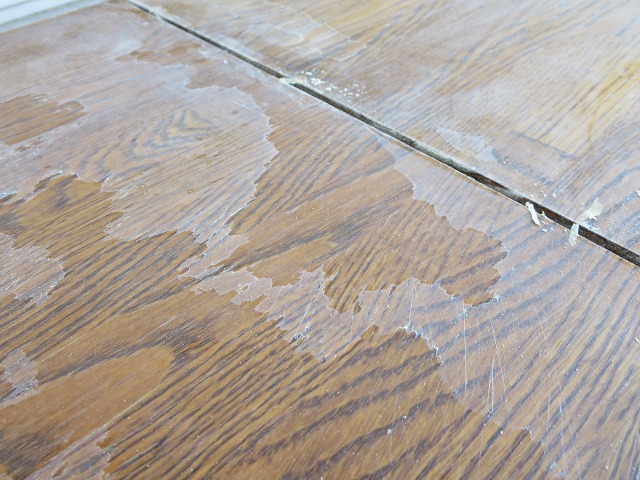 ファイル 102-9.jpg