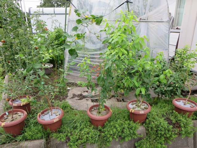 ファイル 103-3.jpg