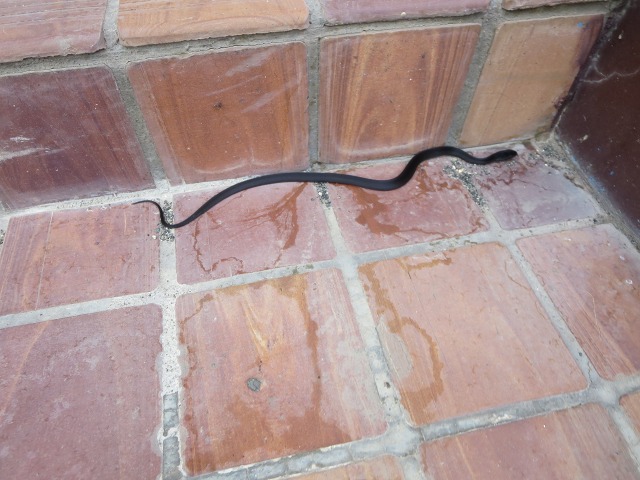 ファイル 103-5.jpg