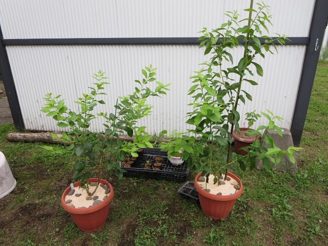 ファイル 103-6.jpg