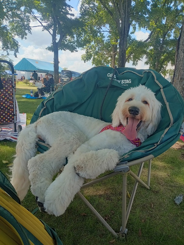 ファイル 104-8.jpg