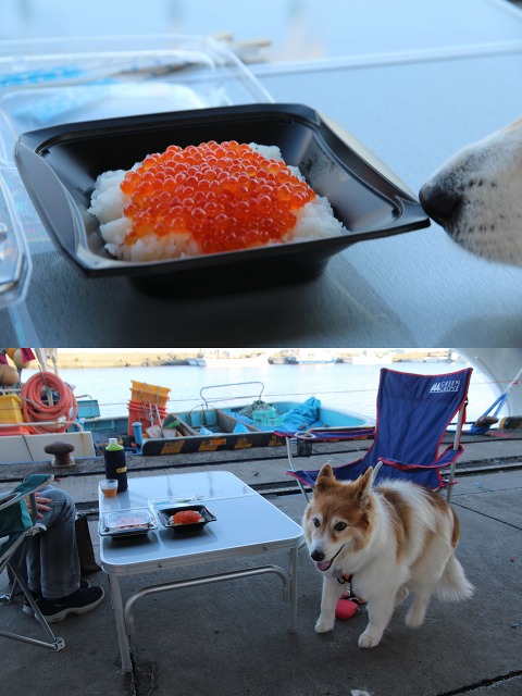 ファイル 109-4.jpg