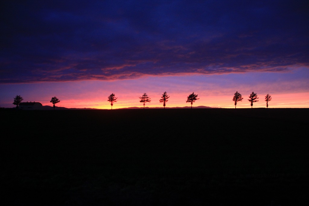 ファイル 110-1.jpg