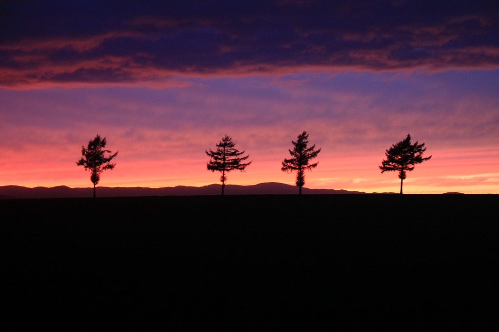 ファイル 110-2.jpg