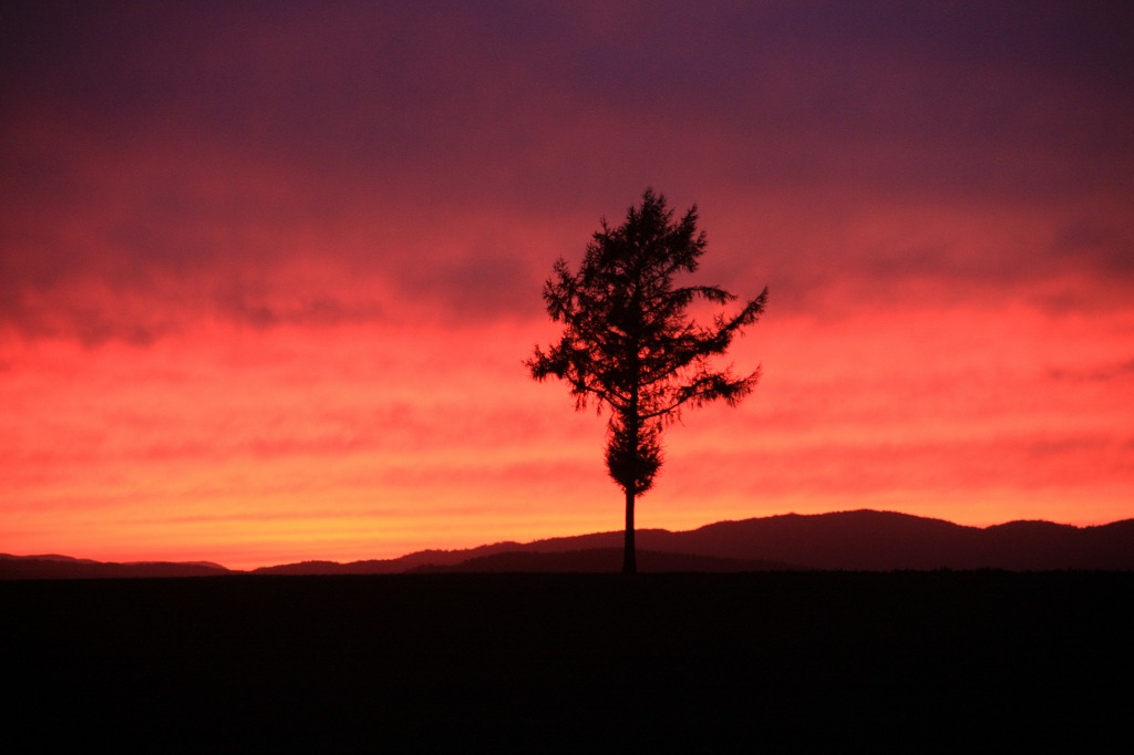 ファイル 110-3.jpg