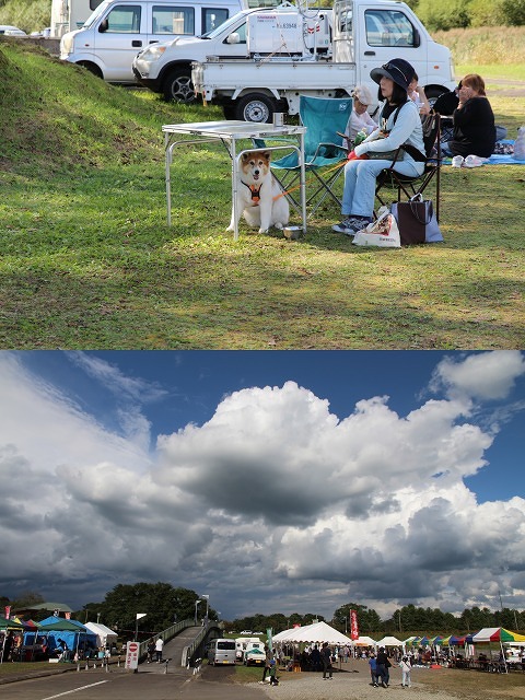 ファイル 111-6.jpg