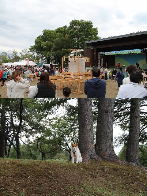 ファイル 111-8.jpg